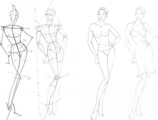 draw the torso and shoulders.