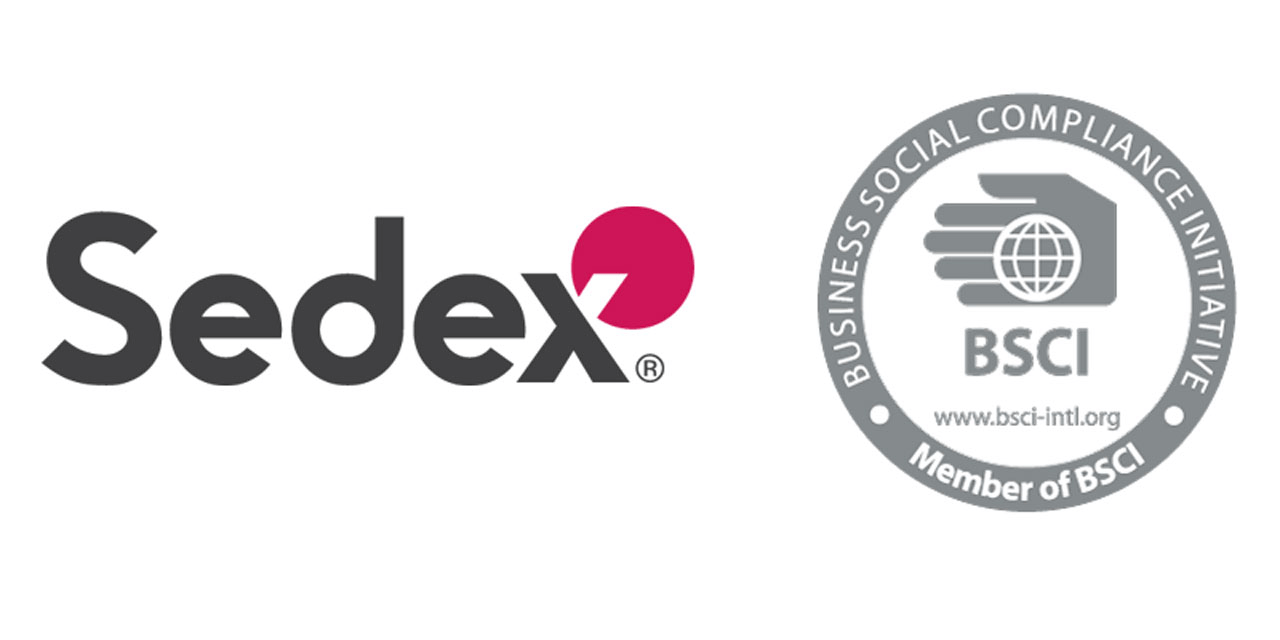 bsci and sedex audit reports